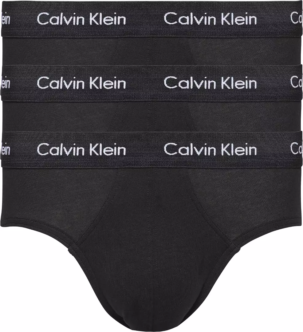 Mens Hip Brief Pants by Calvin Klein (3-Pack)