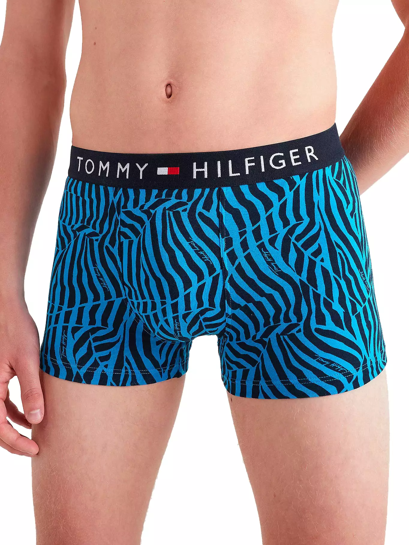 Tommy Hilfiger Mens Boxer Trunks (1-Pack)